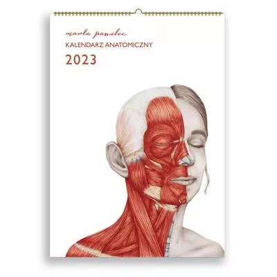 Kalendarz anatomiczny na 2024 rok - Marta Pawelec