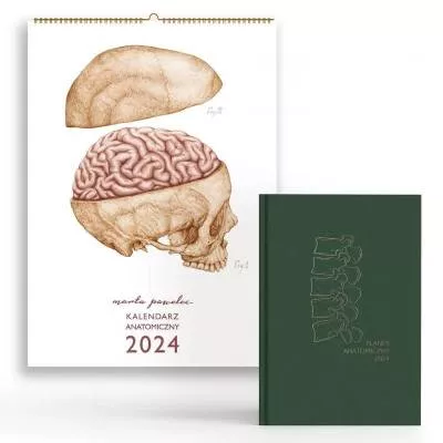 Zestaw kalendarza i planera anatomicznego 2024 – Marta Pawelec