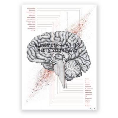 Plakat anatomiczny - Przekrój mózgu - IN YOUR HEAD - Marta Pawelec
