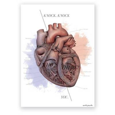 Plakat anatomiczny - Budowa serca - KNOCK KNOCK - Marta Pawelec
