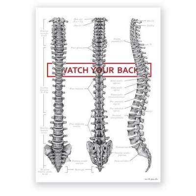 Plakat anatomiczny - Kręgosłup - WATCH YOUR BACK - Marta Pawelec