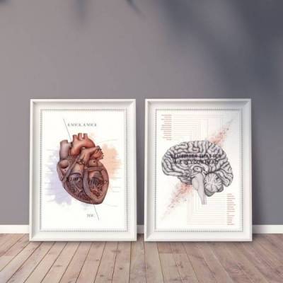 Zestaw plakatów anatomicznych - Mózg i serce - Marta Pawelec