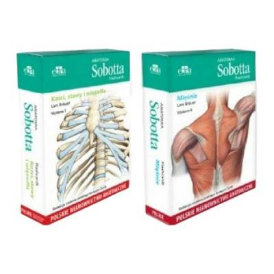 Pakiet: Anatomia Sobotta Flashcards. Kości, stawy i więzadła oraz Mięśnie. Polskie mianownictwo anatomiczne