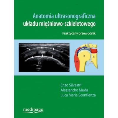 Anatomia ultrasonograficzna układu mięśniowo-szkieletowego