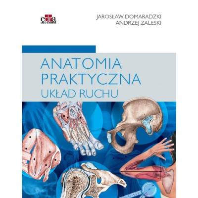 Anatomia praktyczna układu ruchu - A. Zaleski, J. Domaradzki
