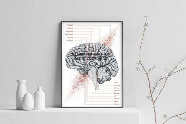Plakat anatomiczny przekroju mózgu w poczekalni