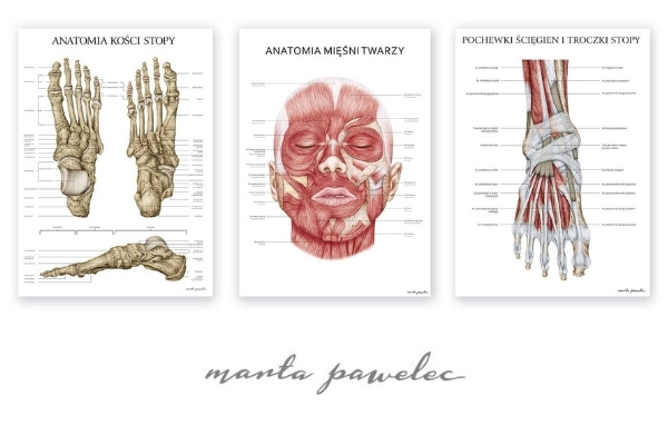 Plansze anatomiczne Marta Pawelec