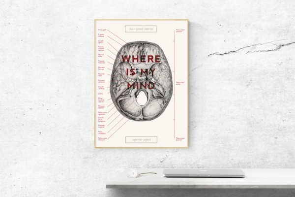 Plakat anatomiczny czaszki w gabinecie