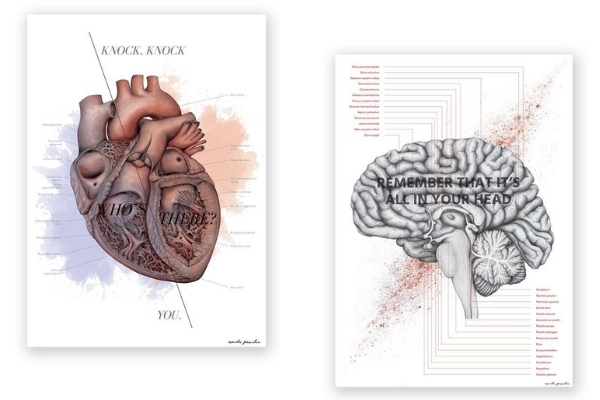 Zestaw plakatów anatomicznych serce i mózg