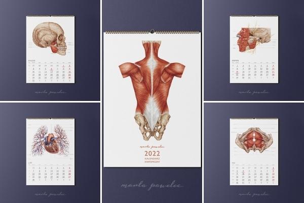 kalendarz anatomiczny 2022