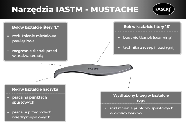 zastosowanie narzędzie fasciq mustache tool iastm